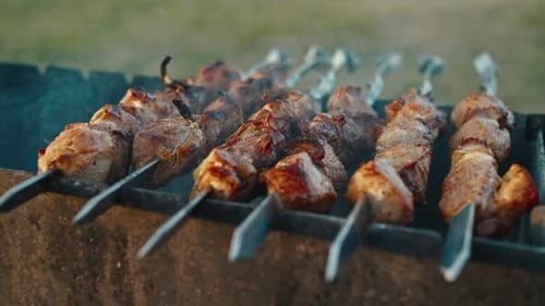 Genießen Sie die saftigen Freuden von BBQ Shashlik