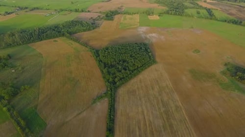 Aerial View of Farmland and Forest on Sunny Day
