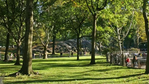 NEW YORK — 15. OKTOBER 2014: Central Park bei Sonnenuntergang, New York