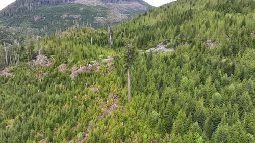 Aerial view of Lonely Doug and deforested mountain in British Columbia, Canada