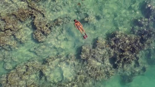 Young woman snorkeling exploring tropical reef and swimming in blue lagoon ocean