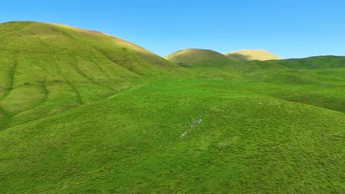 Aerial view of green hills under blue sky, United States.