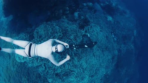Freediving on a Reef Woman Freediver Swimming Underwater Along the Reef in the Sea