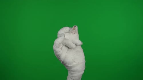 Detail Green Screen Isolated Chroma Key Video Capturing Mummy's Hand Raising Up in the Air Snapping