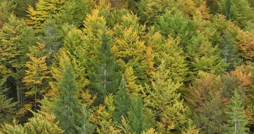 Panorama of Beautiful Countryside of Romania