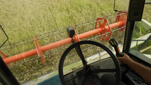 At the Farmer's Direction the Combine Harvests Wheat Evenly