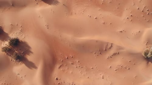 Red sand dunes in the desert. Drone aerial cinematic shot. 4K.