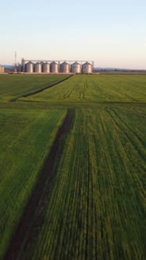 Grain Elevator Metal Grain Elevator in Agricultural Zone Aerial Vertical View Agriculture Storage