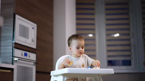 Baby Boy Eating Bread in High Chair