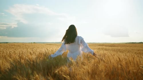 Amazing Slow Motion Shot of Woman Walking in Golden Wheat Field in Summer Day Rear View