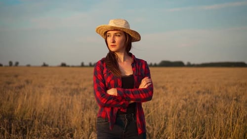 Portrait Agriculture Farmer Woman Standing with Crossing Hands in Field of Wheat at Sunset