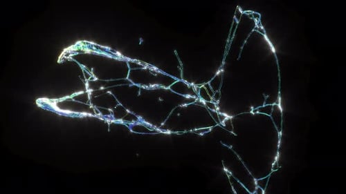 Splash of Water Drops Abstract Liquid Super Slow Motion 1000 FPS