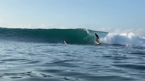 Surfer Riding Ocean Wave on a Sunny Day
