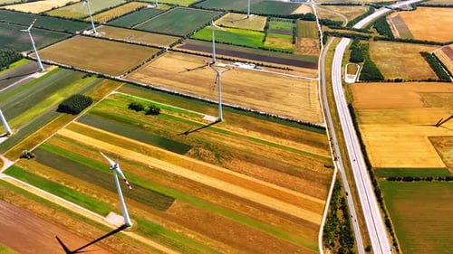 Windmills stand on the colorful fields on sunny day.
