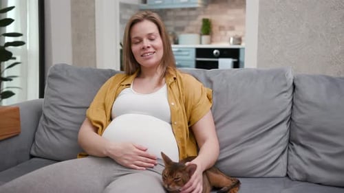 Süße Frau aus den 30ern sitzt auf der Couch und streichelt eine lustige Katze. Junge schwangere Mutter entspannt sich zu Hause Viel Spaß mit Mama...