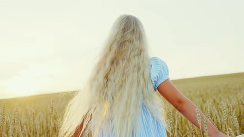 Blond Girl with Long Hair Walks in a Wheat Field