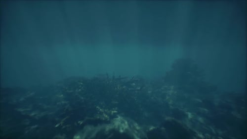 Majestic Ocean Depths A Serene Underwater World And Coral Structures