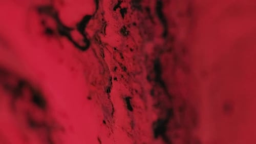 Red Abstract Background with Dark Swirling Elements