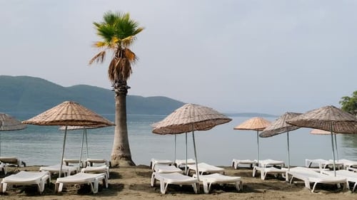Empty White Sun Loungers in Morning on Beach at Sea or Ocean