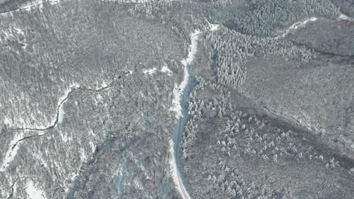 Aerial Drone View of Snow Covered Forest in Winter