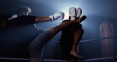 Ring Highlight : Un combattant échappe habilement à un coup de pied sous un éclairage Théâtral, filmé dans un superbe 800