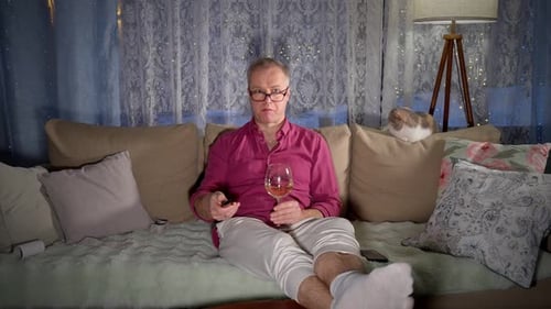 Man Relaxes on Couch with Wine and Cat