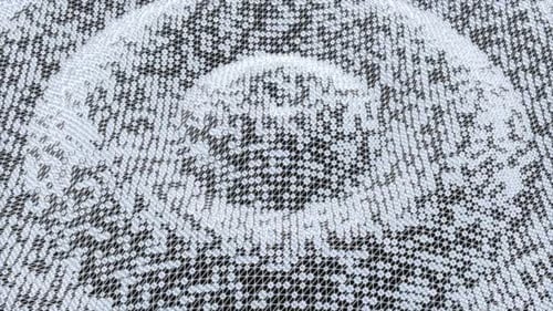 3D-Animation mit Plex-Grid-Schleife