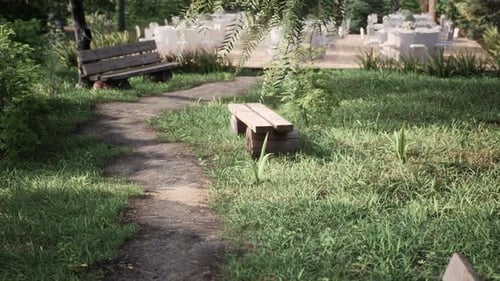Bench in the Summer Park with Old Trees and Footpath