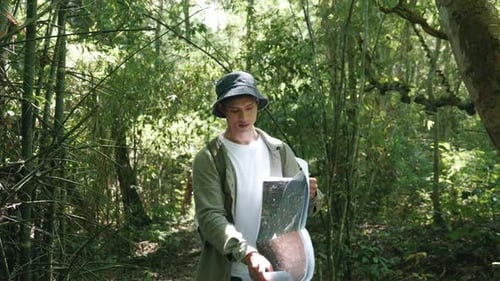 Caminhada, aventura por trilhas florestais exuberantes, exploração da natureza, atividade ao ar livre