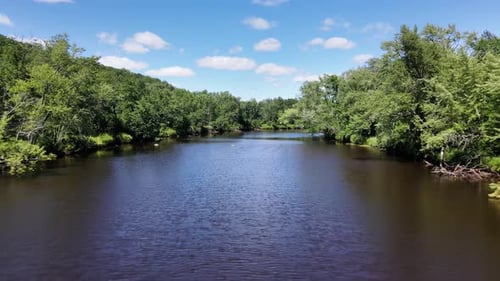 Flying over a forest in Minnesota