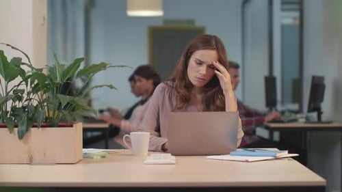 Business Woman Working on Laptop Computer in Office. Closeup Portrait of Professional
