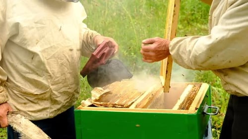 Beekeepers Tending Hives in Rural Field