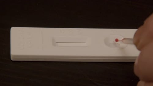 pipette placing drop of blood on Covid-19 rapid self test - close