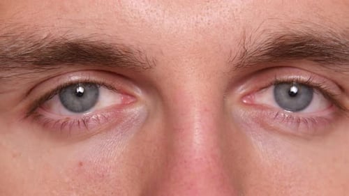 Close Up of Man's Gray Eyes and Eyebrows