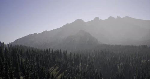 Berglandschaft mit dichtem Wald und Nebel im frühen Morgenlicht