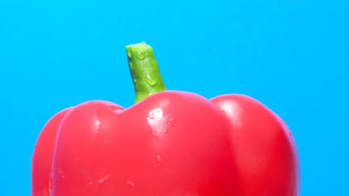 Fresh Red Bell Pepper Against Blue Background