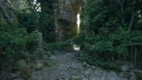 A Scenic Forest Path Surrounded By Rocks Mountain Path