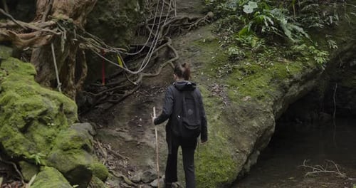 Girl backpacker walking in Taiwanese woodland jungle green forest