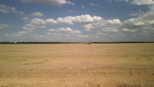 Wheat field aerial view in Ukraine