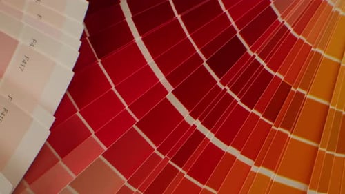 Color Pallet Choosing the Color By Designer Furniture Real Estate or Construction Works Creative