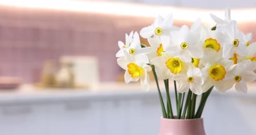 Bouquet of beautiful daffodils in vase at home, closeup. Camera moving right