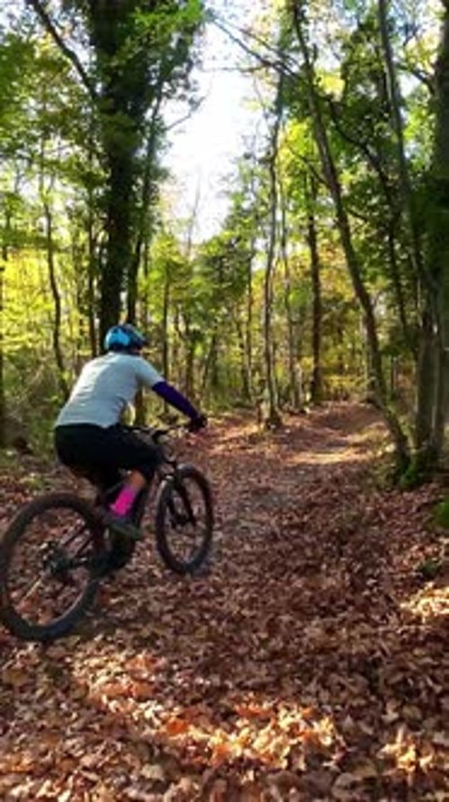 Cyclist Riding an Electric Mountain Bike Through a Lush Forest Trail on a Sunny Day