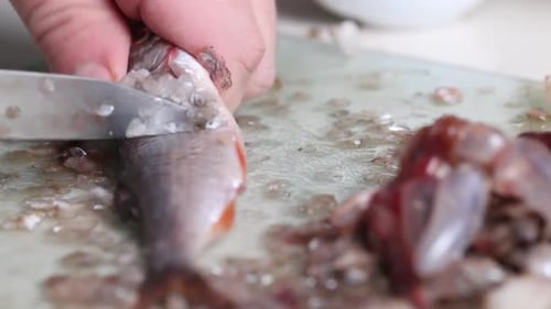 A Man Cleans The River Fish With A Knife. For Drying In The Oven. Near The Fish Grunts. Close Up.