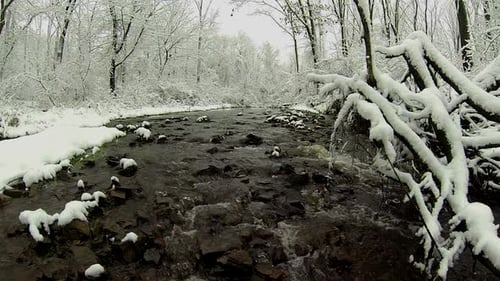 Creek flows through snow-covered wooded landscape as snow falls.