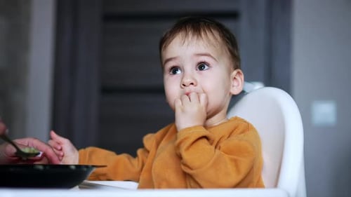 Adorable Child Eating Food in Highchair