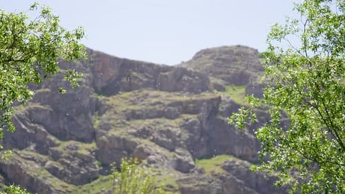 Mountainous Landscape with Pollen or Dandelion Seeds