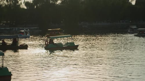 Families and Couples Enjoy Pedal Boating Peacefully Serene Urban Lakeside Atmosphere Featuring
