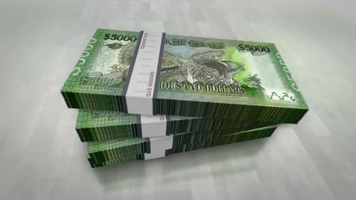 Guyana dollar money banknote pile packs