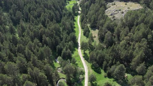Aerial View Of Forest And Mountain Roads