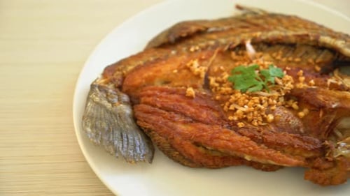 Fried Sea Bass Fish with Garlic on plate